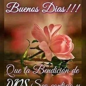 Meet your Posher, Angelica